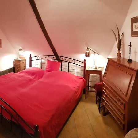 Apartmany U Sv. Floriana 斯拉沃尼采 外观 照片