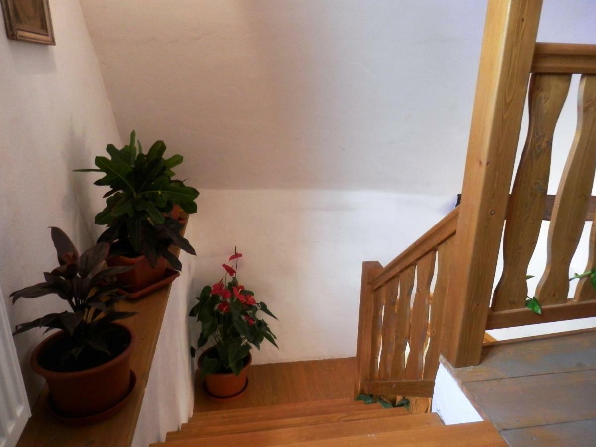 Apartmany U Sv. Floriana 斯拉沃尼采 外观 照片